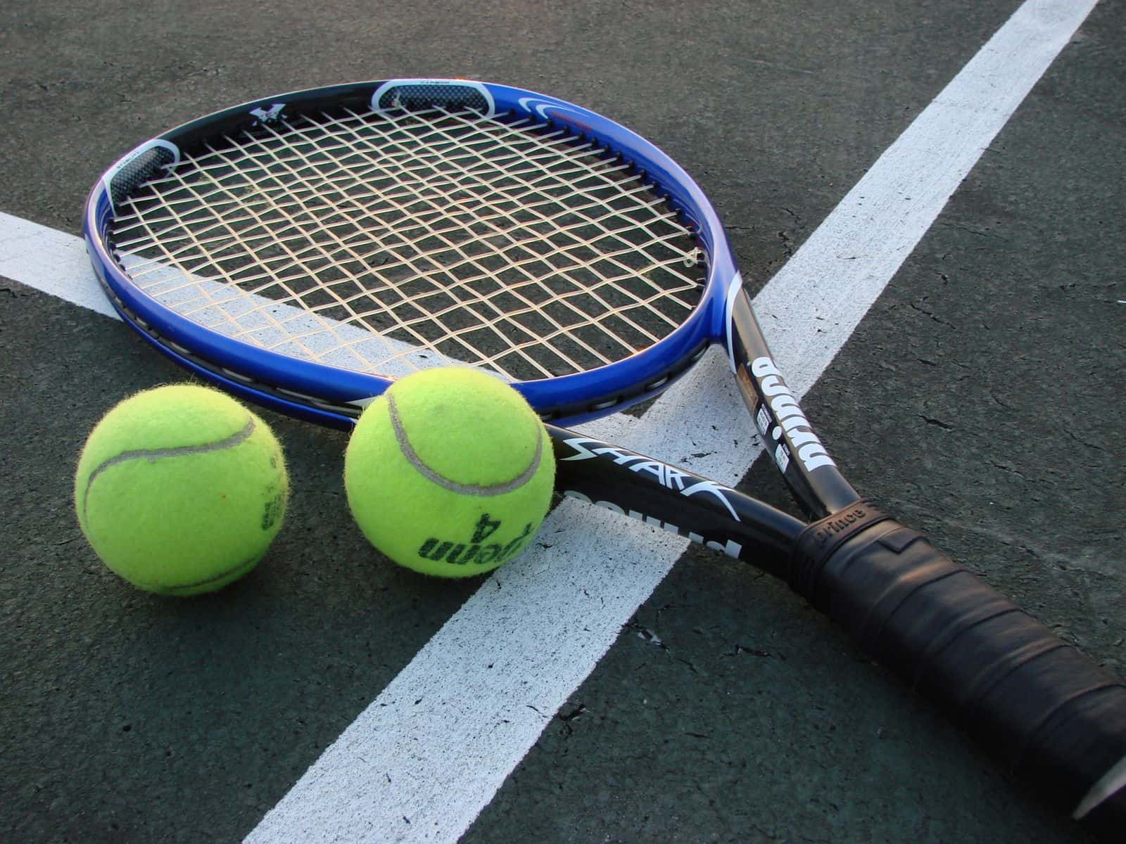 Paris sportifs : sur qui peut-on parier ?
